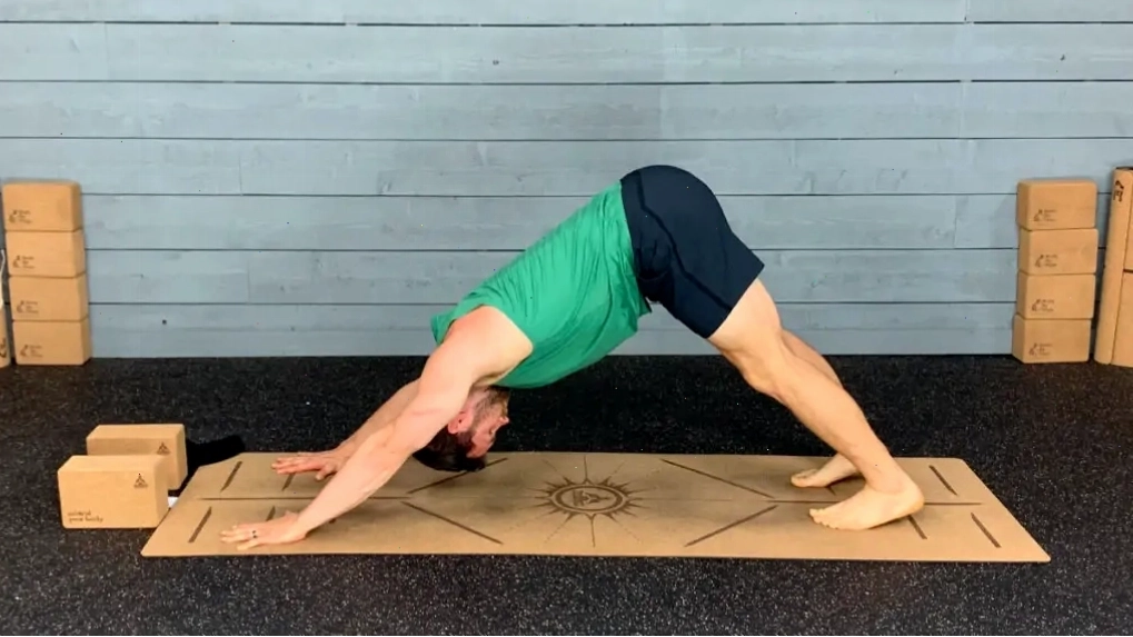 Huấn luyện viên yoga thực hiện tư thế Chó úp mặt trên thảm yoga