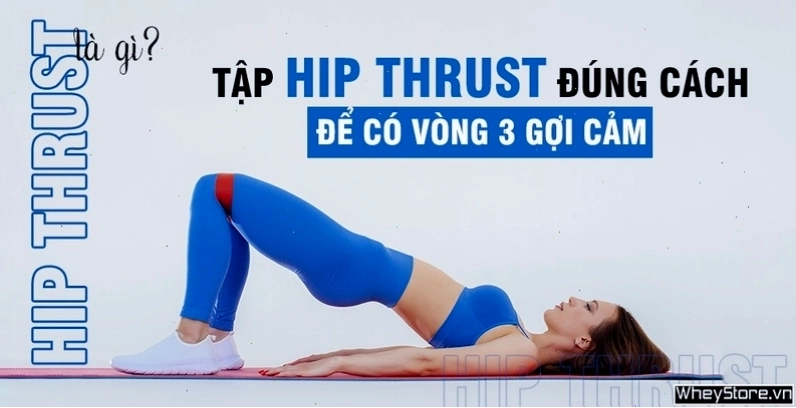 Hướng dẫn bài tập Hip Thrust cơ bản với người tập