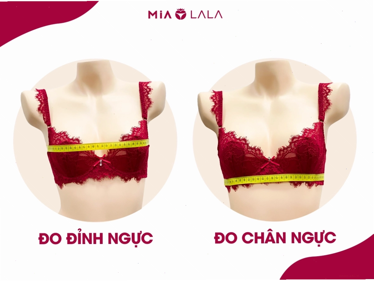 Hướng dẫn các bước đo vòng 1 chuẩn để tính size áo ngực
