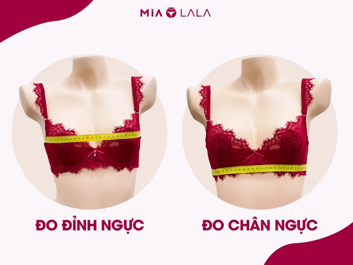 Hướng dẫn cách đo vòng 1 chuẩn để chọn size áo ngực