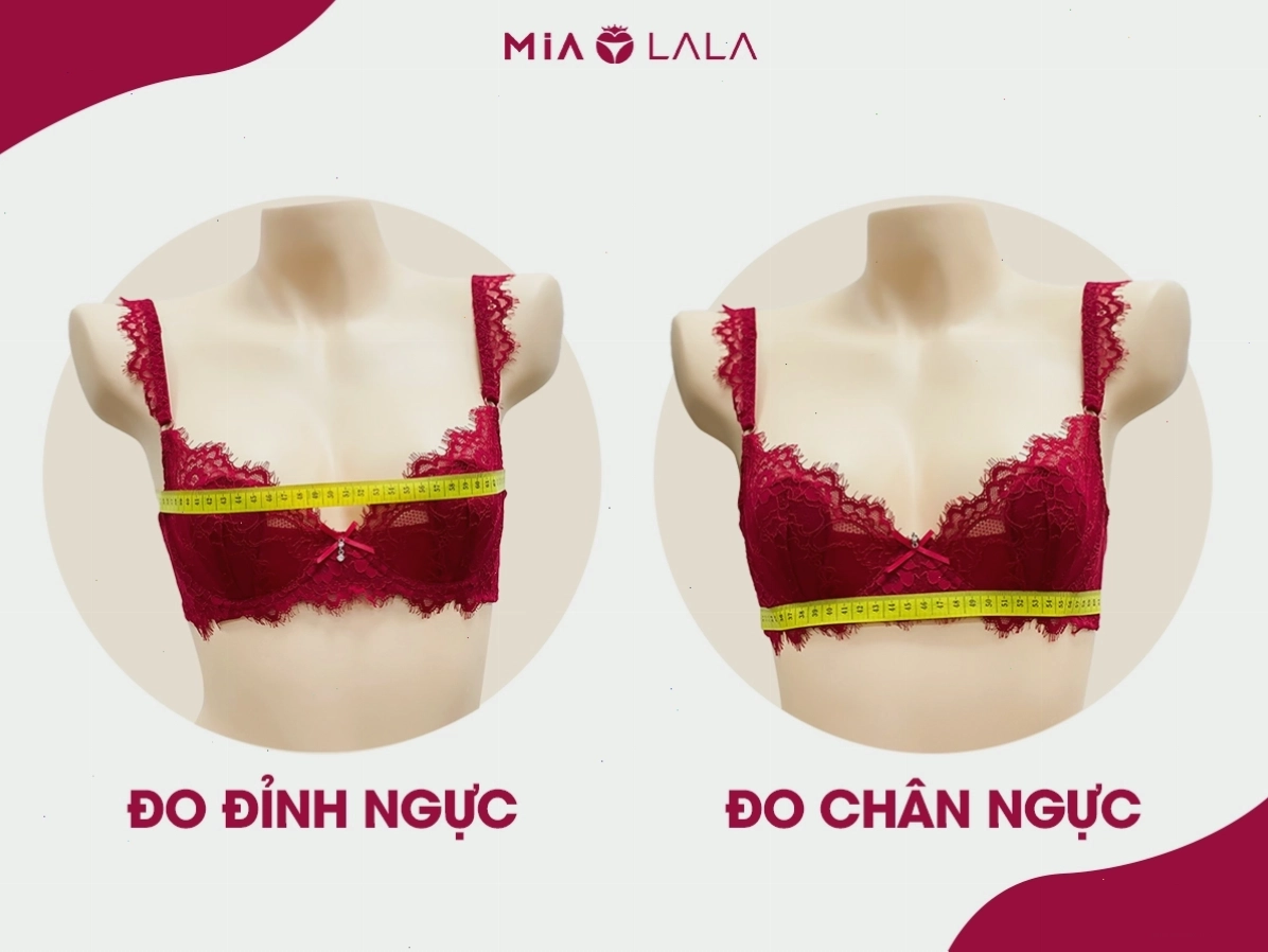 Hướng dẫn cách đo vòng 1 chuẩn xác