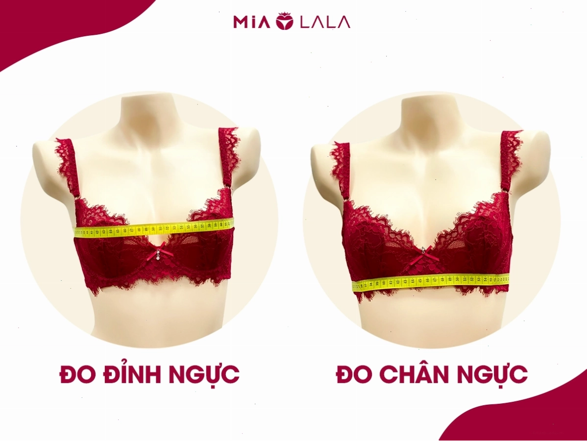 Hướng dẫn chi tiết cách đo vòng 1 chuẩn xác