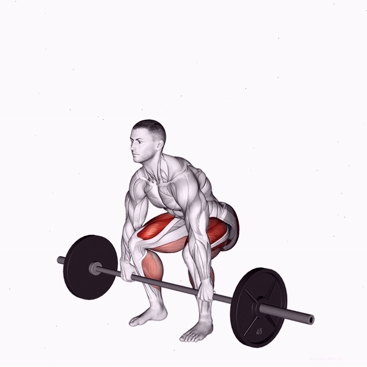 Hướng dẫn kỹ thuật thực hiện bài tập deadlift chuẩn xác
