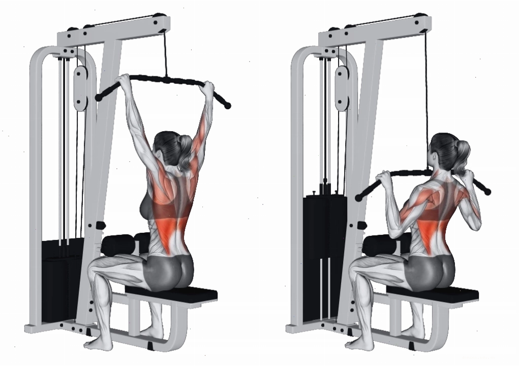 Hướng dẫn thực hiện bài tập Back Extension tại nhà
