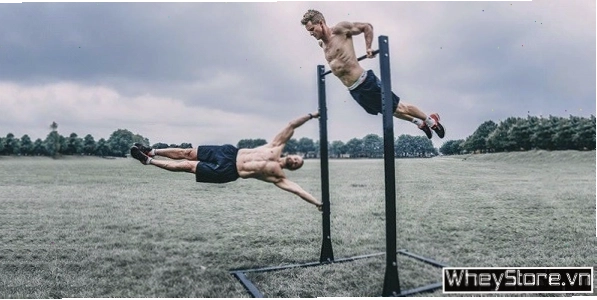 Hướng dẫn thực hiện bài tập Pull-up trong Calisthenics
