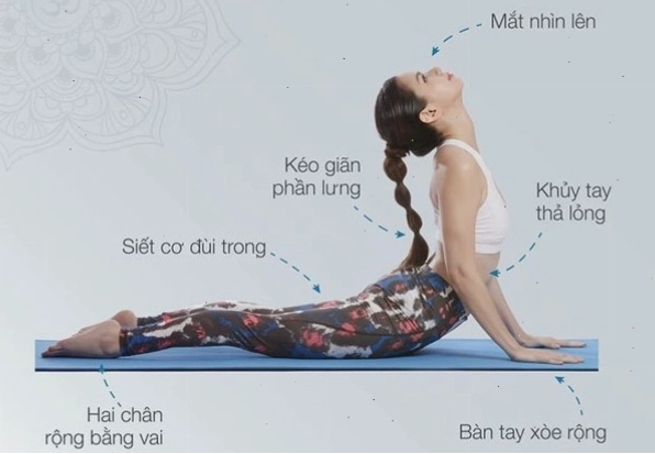 Hướng dẫn thực hiện bài tập rắn hổ mang với các bước chi tiết