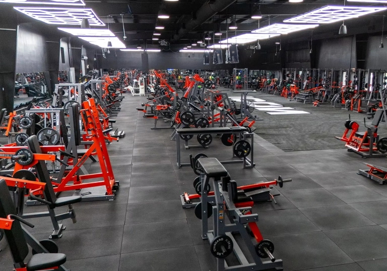 Icon Gym: Biểu Tượng Năng Lượng Cho Phong Cách Sống Hiện Đại 2026