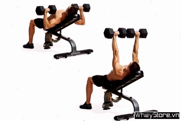 Incline Dumbbell Bench Press - Bài tập ngực trên với tạ đơn hiệu quả