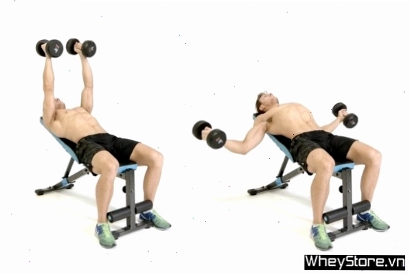 Incline Fly Press - Bài tập cô lập cho ngực trên với tạ đơn