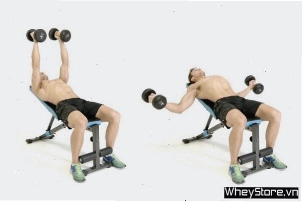 Incline Fly Press - Bài tập ép ngực trên với tạ đơn