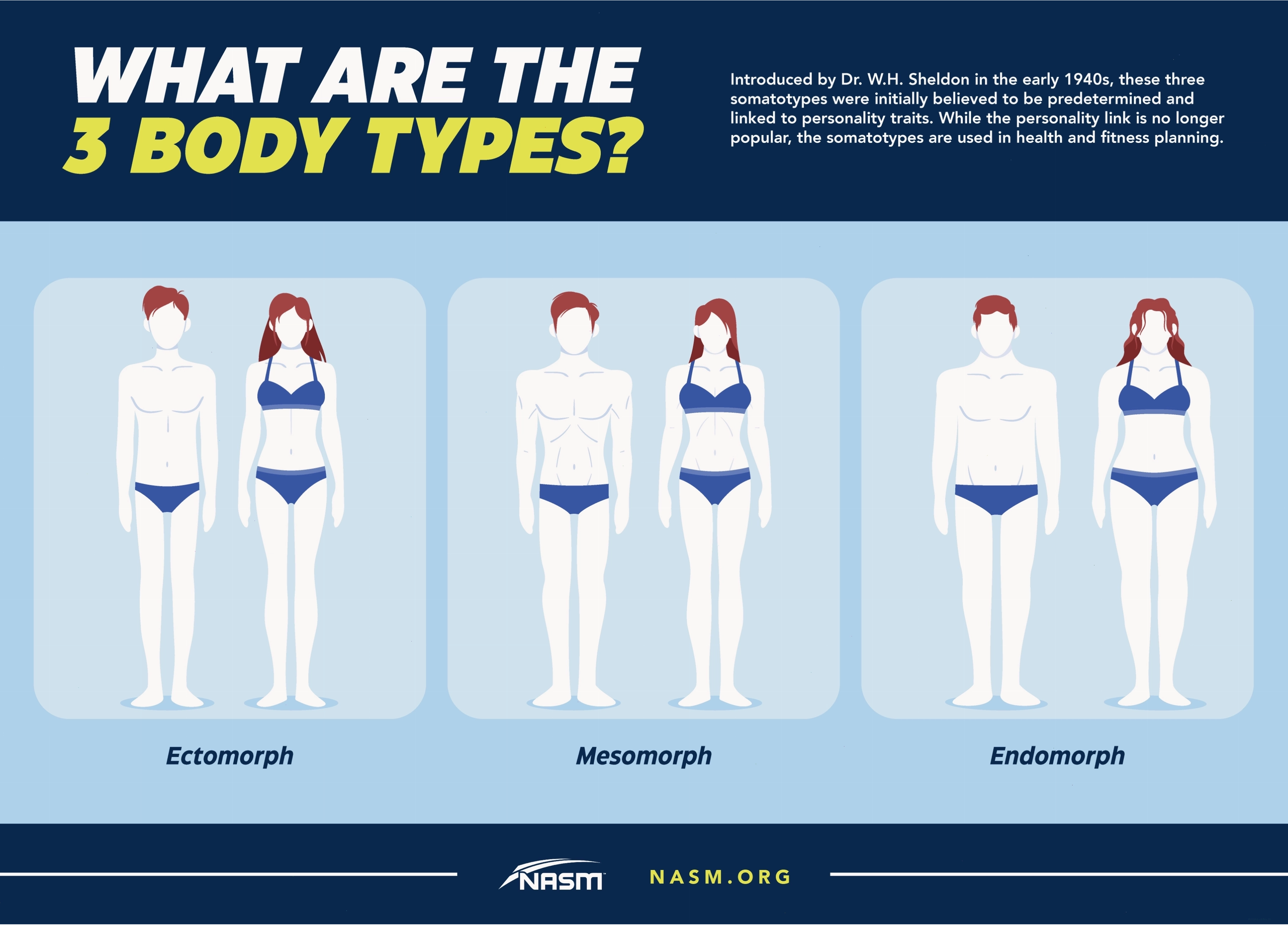 Infographic minh họa các tỷ lệ đo lường cho body types female