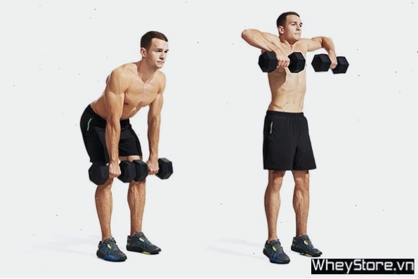 Kéo tạ đơn lên cao (Dumbbell High Pull)