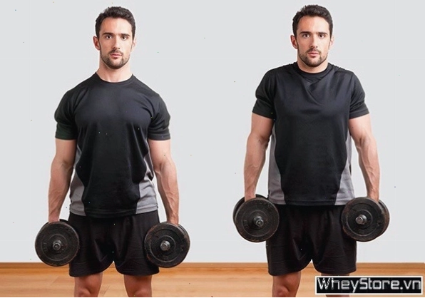 Kéo tạ đòn thẳng lên ngang vai (Barbell Upright Row) 