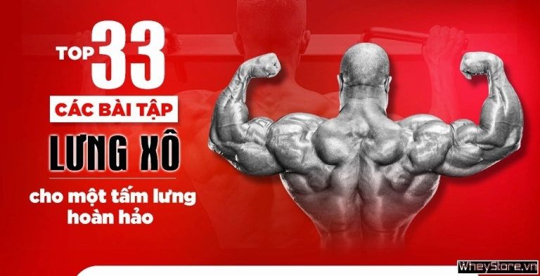 Khám phá 5+ Bài Tập Tạo Rãnh Lưng Đẹp Tại Nhà Cho Phụ Nữ