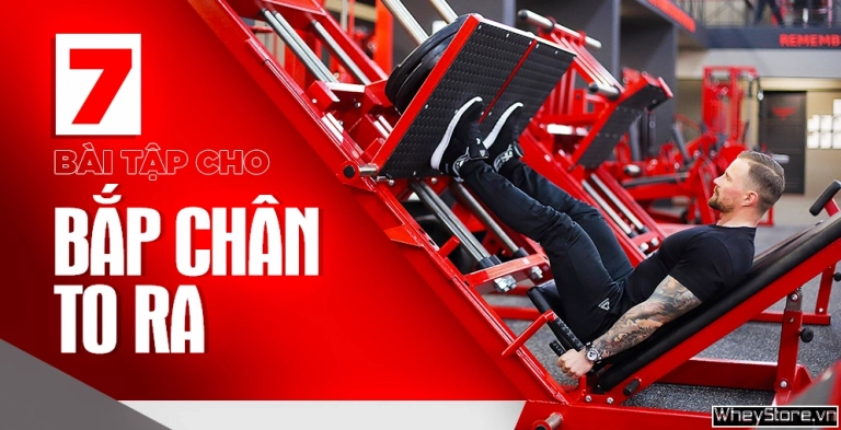 Khám phá 7 bài tập bắp chân hiệu quả giúp chân to và săn chắc