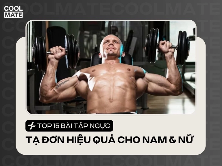 Khám phá 8 Bài Tập Ngực Với Tạ Đơn Hiệu Quả Nhất 2026
