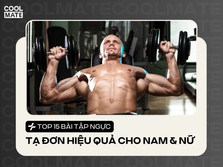 Khám Phá 8 Bài Tập Ngực Với Tạ Đơn Tối Ưu Nhất Cho Nam Giới Năm 2026