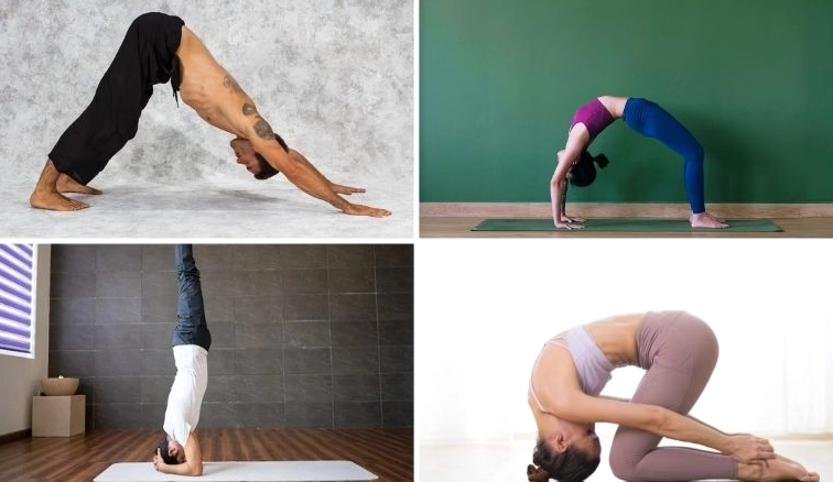 Khám Phá Các Bài Tập Yoga Tăng Chiều Cao Hiệu Quả Cho Mọi Lứa Tuổi
