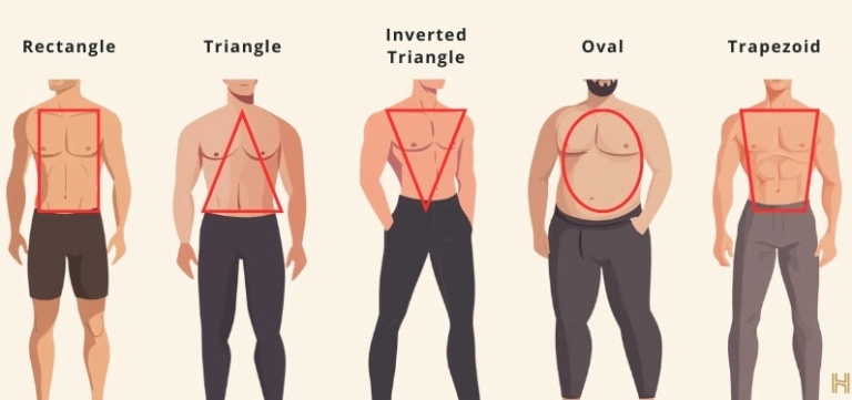 Khám phá các loại hình thể nam giới: Ectomorph, Mesomorph và Endomorph