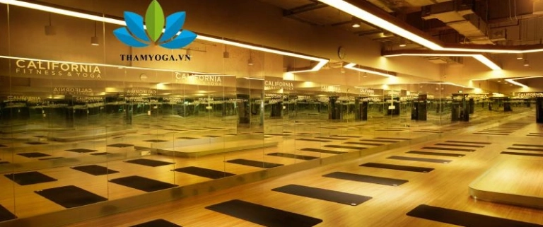 Khám phá các lớp Yoga quận 4: Địa chỉ tập luyện sức khỏe và tinh thần