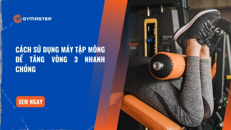 Khám Phá Các Máy Tập Mông Hiệu Quả Tại Phòng Gym Năm 2026