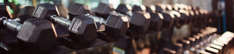 Khám Phá Các Trung Tâm Gym D3 Uy Tín Trên Toàn Quốc Năm 2026