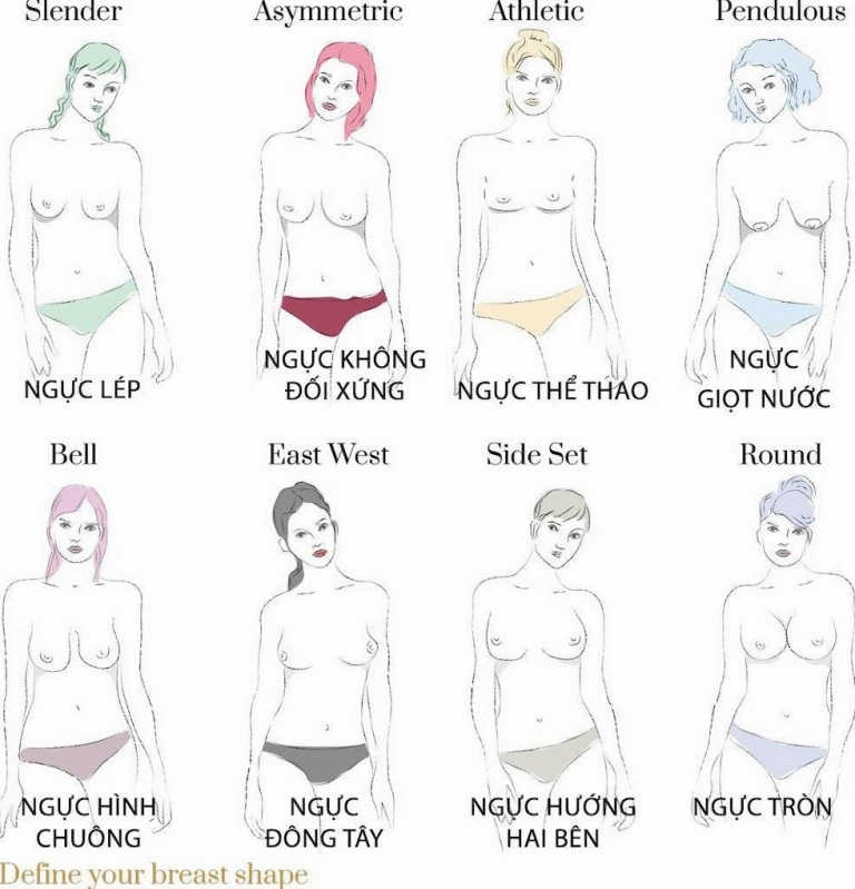 Khám phá đa dạng các hình dáng ngực phụ nữ và cách lựa chọn trang phục phù hợp