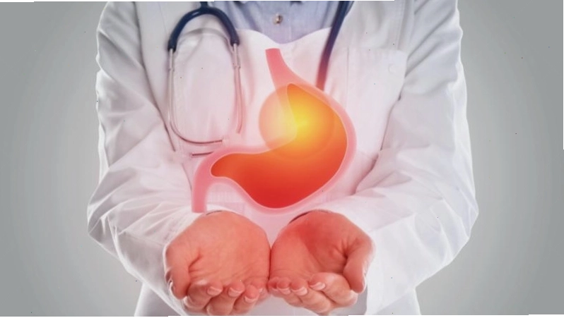 Khoai môn chứa nhiều chất xơ, giúp cải thiện chức năng tiêu hóa của cơ thể
