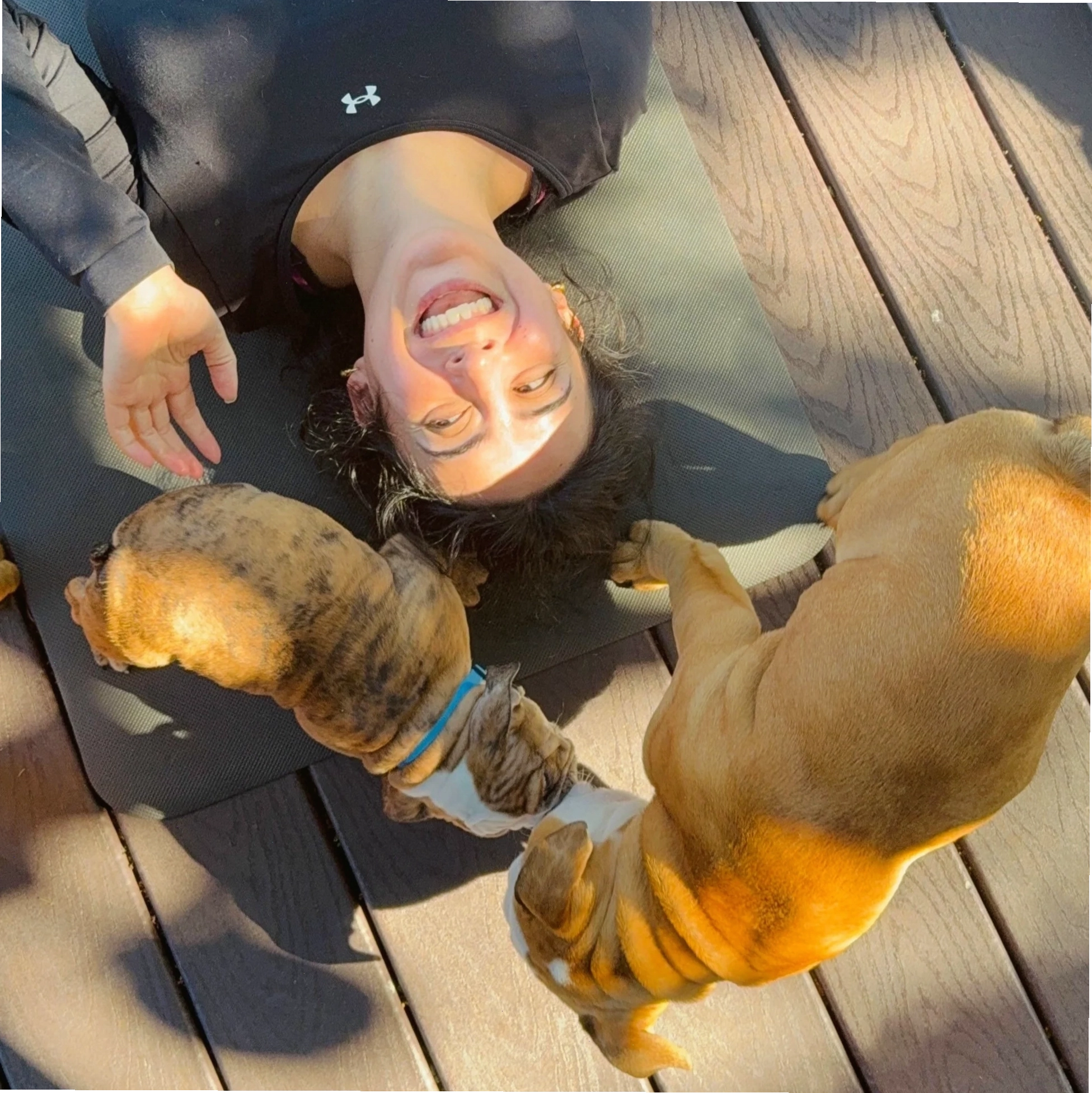 Không gian lớp học Doggy Yoga
