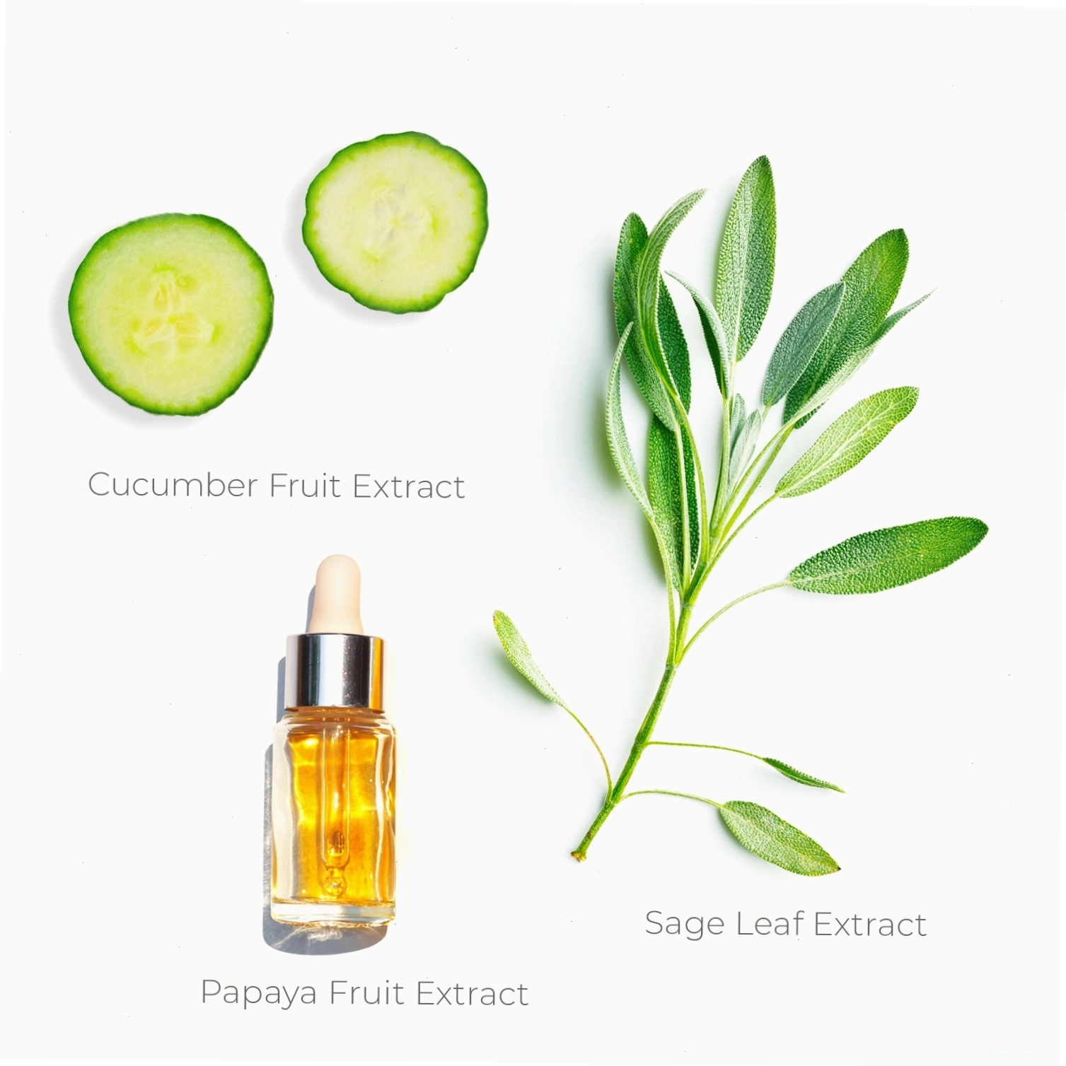 Không gian thư giãn với sản phẩm Bath & Body Works