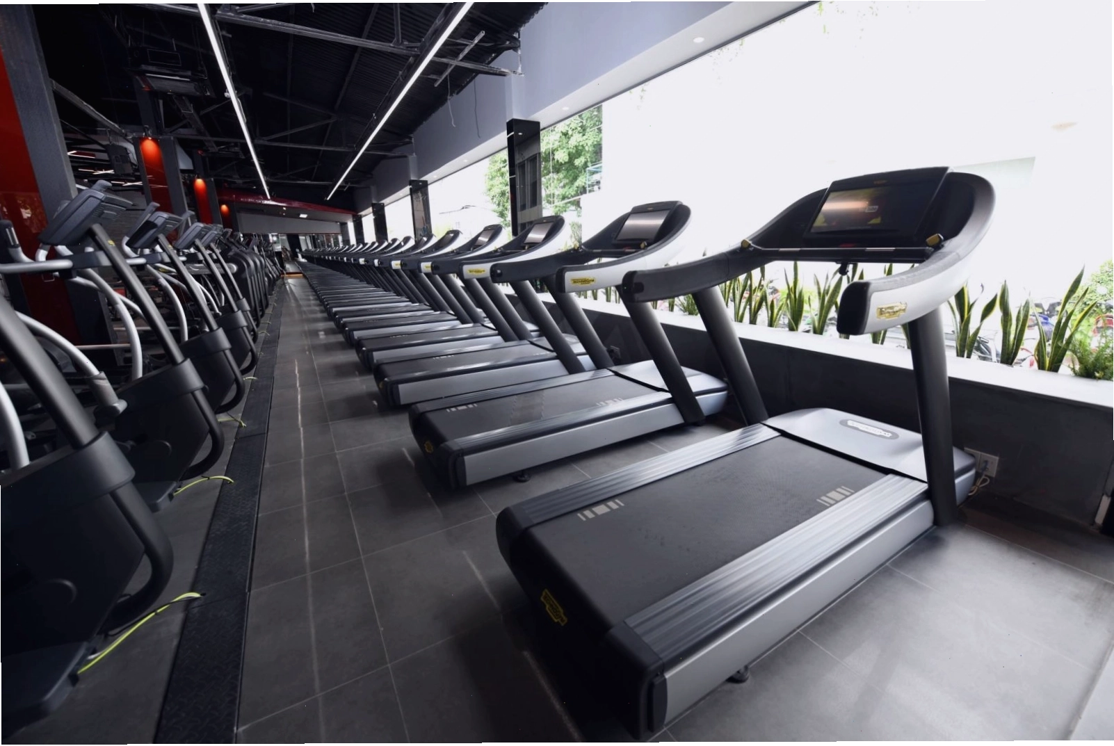Không gian xanh mát tại Citigym Thành Thái