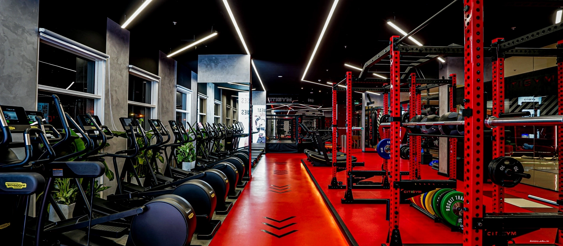 Không gian xanh mát tại CITIGYM Thành Thái Quận 10