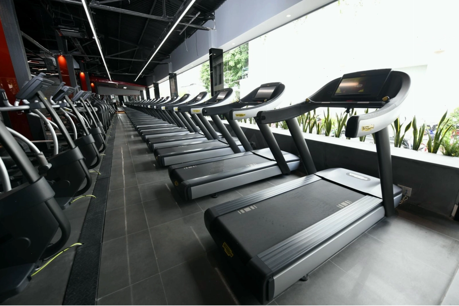 Không gian xanh mát tại CitiGym Thành Thái