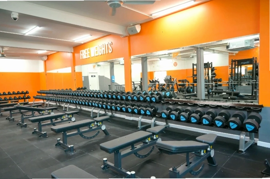 Khu vực Cardio tại The New Gym
