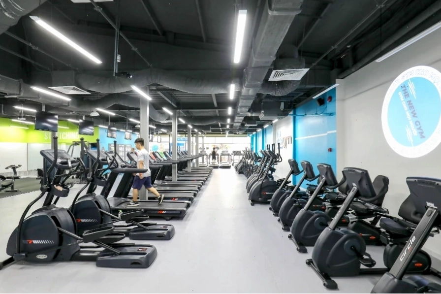 Khu vực Cardio với máy chạy bộ hiện đại tại The New Gym