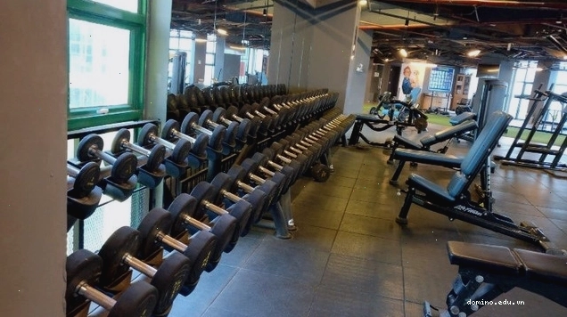 Khu vực máy tập đa năng tại Swequity Gym