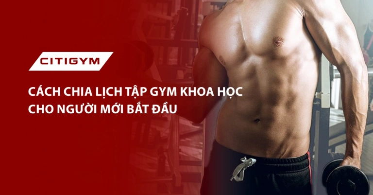 Lịch Tập Các Nhóm Cơ Trong Tuần Chuẩn Cho Người Mới Bắt Đầu Năm 2026