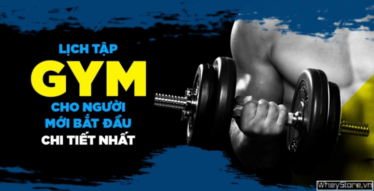 Lịch tập gym cho nam mới bắt đầu: Xây dựng nền tảng sức mạnh vững chắc
