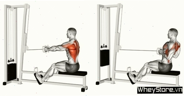 Lịch tập Gym cho người gầy tăng cân, tăng cơ nhanh trong 1 tuần