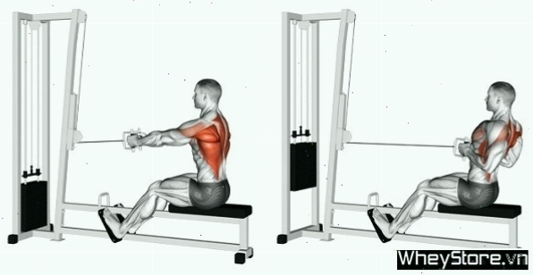 Lịch tập Gym cho người gầy tăng cân, tăng cơ nhanh trong 1 tuần - Ảnh 3