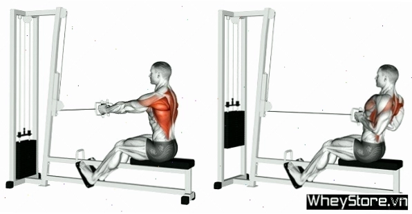 Lịch tập Gym cho người gầy tăng cân, tăng cơ nhanh trong 1 tuần - Ảnh 3