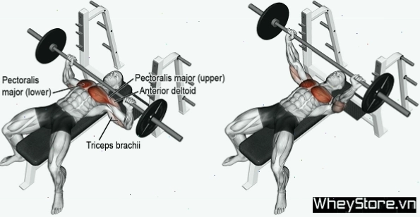 Lịch tập Gym cho người gầy tăng cân, tăng cơ nhanh trong 1 tuần - Ảnh 4