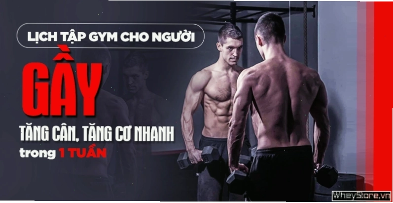 Lịch tập Gym cho người gầy tăng cân, tăng cơ nhanh trong 1 tuần