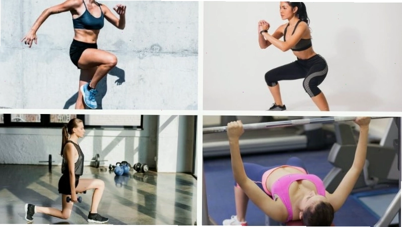 Lịch tập gym cho người mới bắt đầu nữ với các bài tập lưng và vai