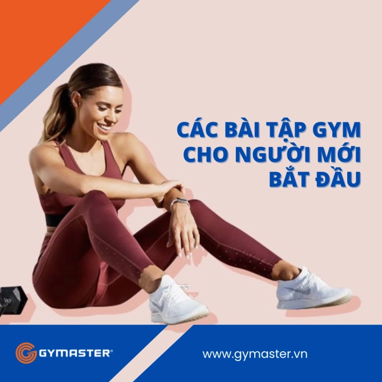 Lịch Tập Gym Cho Người Mới Bắt Đầu Toàn Diện Năm 2026