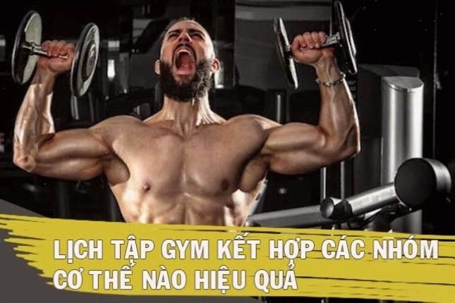 Lịch tập kết hợp các nhóm cơ hiệu quả