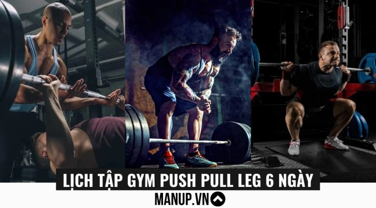 Lịch Tập Push Pull Leg Tăng Cơ Toàn Diện Cho Người Mới Bắt Đầu