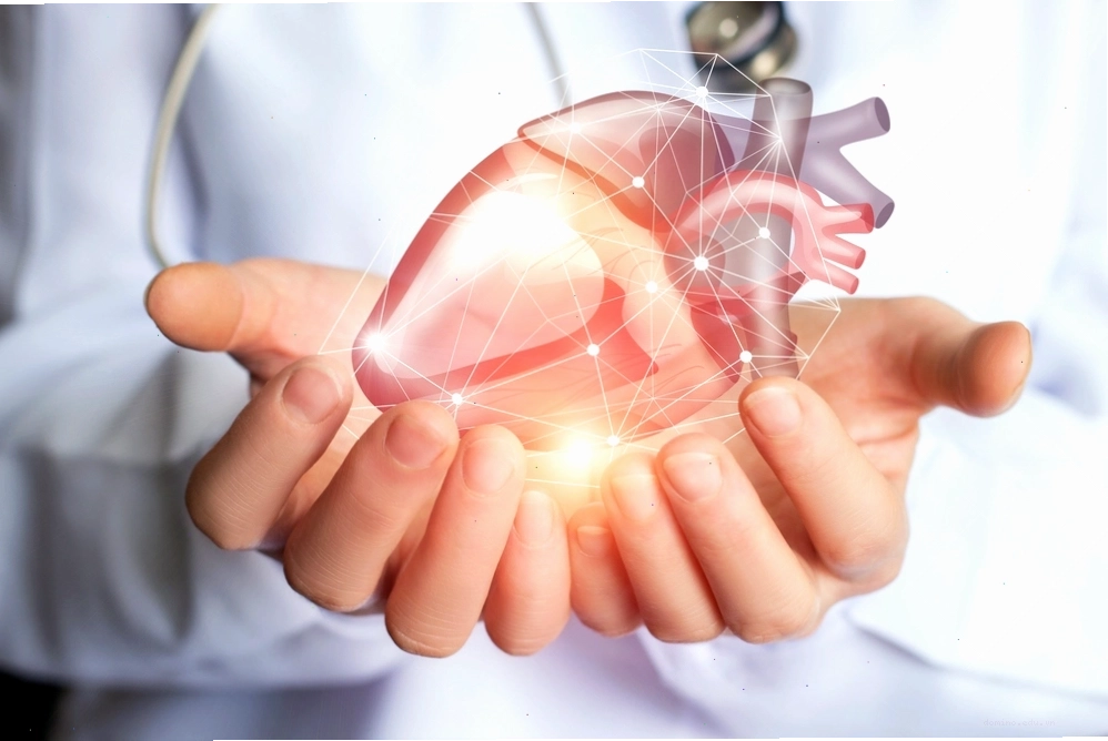 Lợi ích của gạo lứt tốt cho sức khỏe tim mạch với hàm lượng chất xơ cao