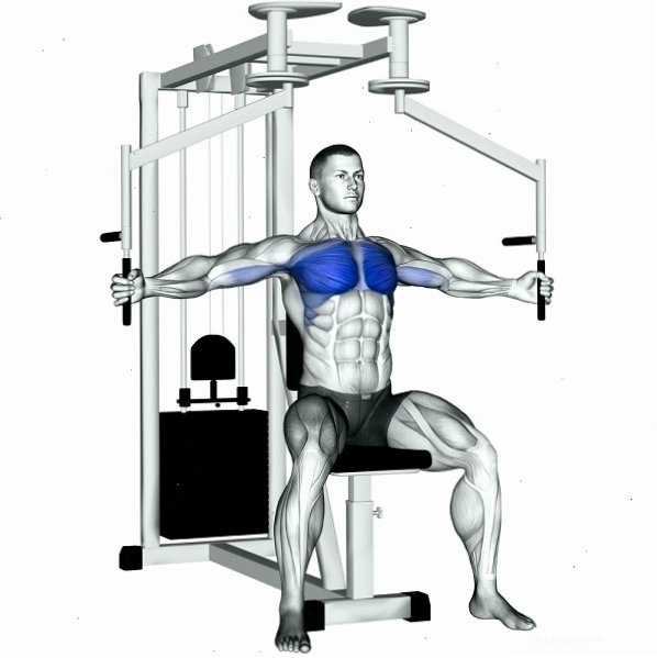 Lợi ích của việc tập ép ngực với máy chest fly