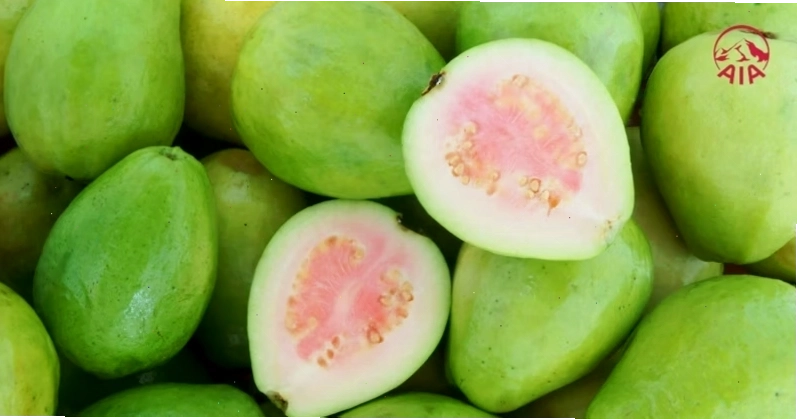 Lượng calo của ổi còn phụ thuộc vào kích thước quả